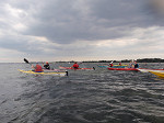 39F_P8270709